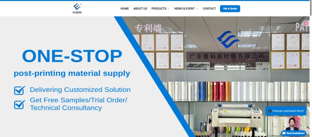 ده تولیدکننده برتر فیلم کششی در چین تا سال 2026 (2)